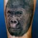 Renshaw's Animal and Nature Tattoos