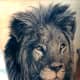 photorealism-tattoos
