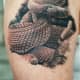 Renshaw's Animal and Nature Tattoos