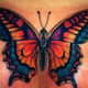 great-butterfly-tattoo-ideas-for-women-butterfly-tattoo-images-and-designs