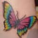 An almost-traditional butterfly is represented in this tattoo.