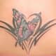 A small, elegant butterfly tattoo.