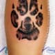 Wolf Tattoos: Designs, Ideas, and Meanings - TatRing