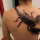 scorpione-tatuaggi-e-significati