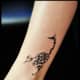 scorpion-tattoos-et-significations