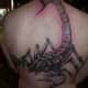 scorpion-tattoos-and-meaningings