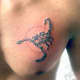 scorpion-tattoos-and-meaningings