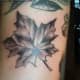 leaf-tattoos-and-designs-leaf-tattoo-meanings-and-ideas-leaf-tattoo-gallery
