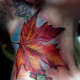 leaf-tattoos-and-designs-leaf-tattoo-meanings-and-ideas-leaf-tattoo-gallery