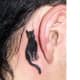 a cat tattooed behind a person's ear