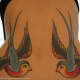 tattoo-ideas-sparrows-and-swallows