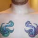 tattoo-ideas-sparrows-and-swallows