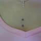 Sternum