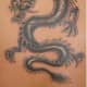 Flick Images: Vampire Black Cat: Dragon Tattoo
