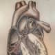 Tattoo by Kai Saunders, Penticton, B.C.
