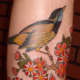 Bird Tattoo, Tacho, Thou Art Custom Tattoo And Piercing Studio, Sheffield, England