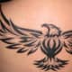 Bird Tattoo, Chilla, Living Canvas Tattoo, Eltham, Victoria, Australia