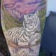 Tiger Tattoo, Tony Browning, State of the Art Tattooing, Winchester VA