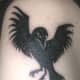 Bird Tattoo, Sacred Skin, Doncaster