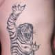 Tiger Tattoo, Bill Medhurst. West Coast Tattoos, located in Corner Brook, Newfoundland, Canada