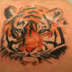 Tiger Tattoo, Javier Urbaneja, Q.bos Bodyart, Aranjuez (Madrid), Spain