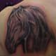 Horse Tattoo, Swirly Wanx Sinatra, Dragons Lair Tattoo, Brisbane