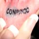 Confundo, Latin word meaning "to confuse, throw into disorder"