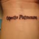Expecto Patronum, Latin for "I await a protector"