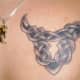 This is an example of mixed tattoos, the zodiac with Celtic art. The sign is Taurus.