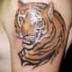tiger-tattoos-and-meanings-tiger-tattoo-designs-and-ideas