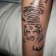 tiger-tattoos-and-meanings-tiger-tattoo-designs-and-ideas