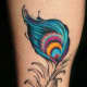 feather-tattoos-and-meanings-feather-tattoo-ideas-and-designs