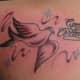 dove-tattoos-and-meanings-dove-tattoo-designs-and-ideas
