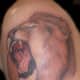 the-lion-tattoo-designs-and-meanings-great-lion-tattoo-ideas-history-of-lion-symbolism