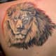 the-lion-tattoo-designs-and-meanings-great-lion-tattoo-ideas-history-of-lion-symbolism