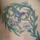 hummingbird-tattoos-history-and-meanings-hummingbird-symbolism