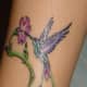 hummingbird-tattoos-history-and-meanings-hummingbird-symbolism
