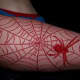 Red spider in red web