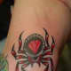 Red-and-black spider