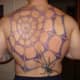 Full-back spiderweb