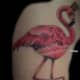 flamingo-tattoos-and-meanings