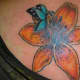 Butterfly (after): The same concept but bigger and bolder.