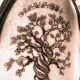 The shoulder is a popular place for tree tattoos
