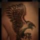 raven-tattoos-and-meanings-raven-tattoo-designs-and-ideas-raven-tattoo-foto's