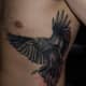 raven-tatuaże-i-znaczenia-raven-tattoo-designs-and-ideas-raven-tattoo-pictures