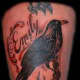 praven-tattoos-and-meanings-raven-tattoo-designs-and-ideas-raven-tattoo-pictures