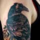 raven-tatoeages-en-bedoelingen-raven-tatoeage-ontwerpen-en-ideeën-raven-tatoeage-plaatjes