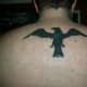 Raven tattoo on upper back.