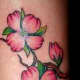 dogwood-flower-tattoos-and-designs-dogwood-flower-tattoo-meanings-and-ideas