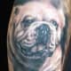 bulldog-tattoos-and-designs-bulldog-tattoo-meanings-and-ideas-facts-about-the-bulldog